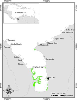 The Mangrove Periwinkle Littoraria angulifera (Mollusca: Littorinidae) in the Urabá Gulf (Colombian Caribbean): Finding Ways in an Urbanizing Coast?